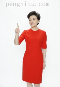 杨澜高清图集 243张图/623M