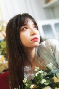 二加六54套写真素材（0384）