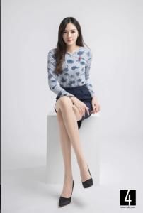 [合集]OL风格DISI第四印象-丝制 全套19期，大小978M