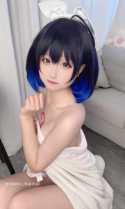 Seele麦麦 – 全套24期&随包视频[9.1G-2025.9]（0060）