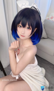 Seele麦麦 – 全套26期&随包视频[9.6G-2026.2]（0060）